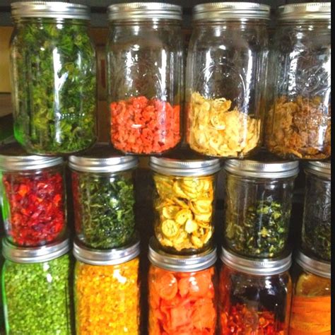 Pin by Lauren Uidam on Healthy Food | Dehydrated vegetables, Canning ...