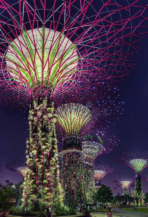 Super Trees Night Scene at Singapore Gardens by the Bay. Super Trees ...