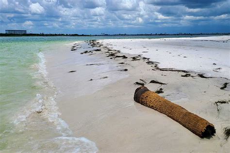 Caladesi Island State Park - Florida Smart