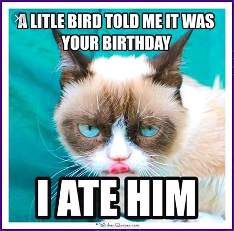 Happy Birthday Grumpy Cat Meme