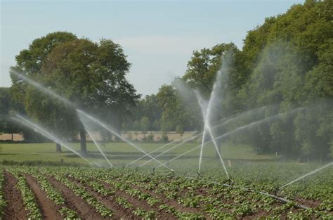 Sprinkler, Sub and Surface – Which Irrigation Methods Work Best for ...