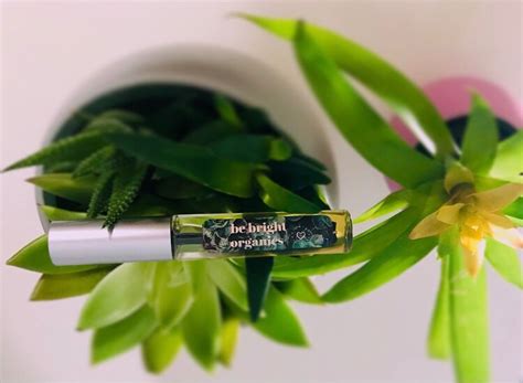 Natural Eyelash Growth Serum 100% Organic Ingredients Lash Conditioning ...