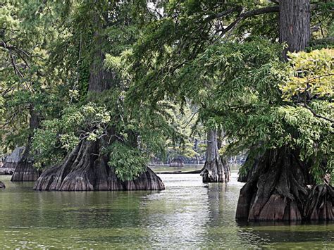 Reelfoot Lake State Park, a Tennessee State Park located near Union City