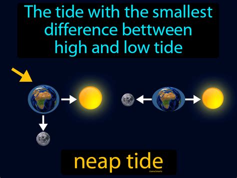 Neap Tide Definition & Image | GameSmartz