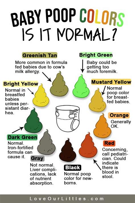 Baby Poop Colors Chart and Pictures: What's Normal? - Love Our Littles®