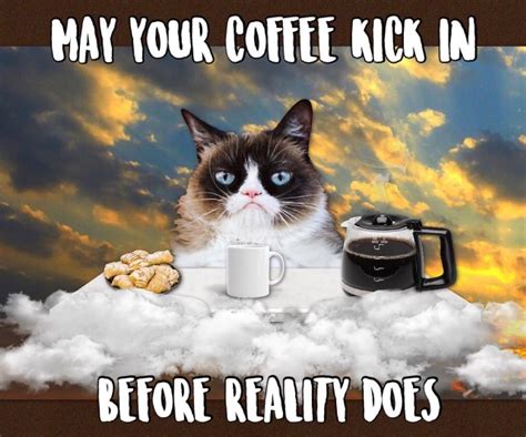 Grumpy Cat Coffee ☕️ | Grumpy cat humor, Grumpy cat quotes, Grumpy cat