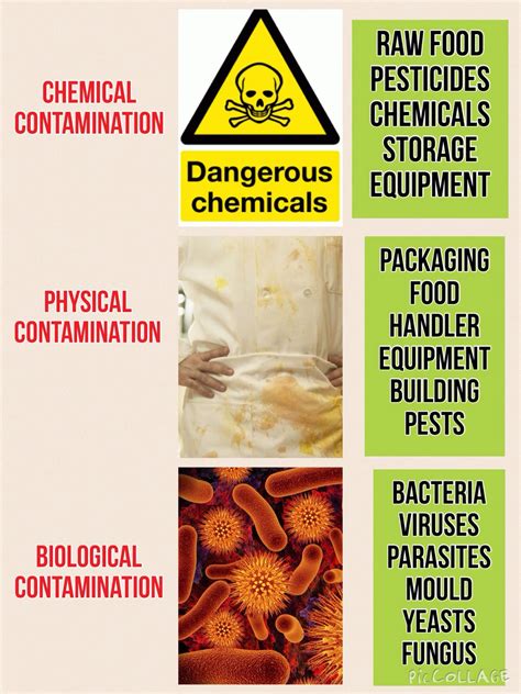 Contamination | Explained | Food safety and sanitation, Hygienic food ...