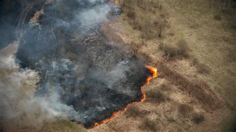 Bush Fire And Smoke, Stock Footage | VideoHive