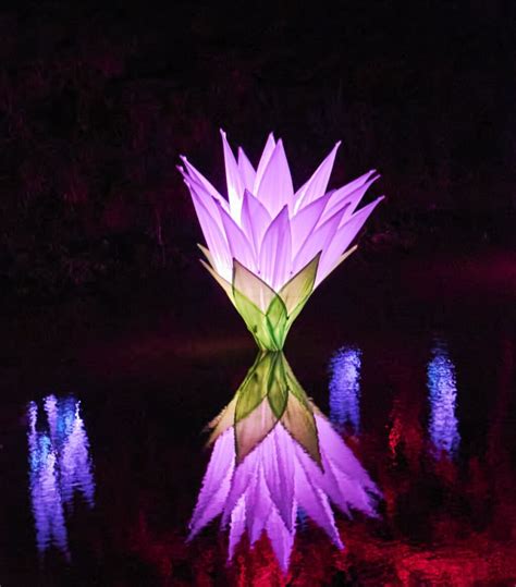 San Diego Botanic Garden to host international Lightscape exhibition ...