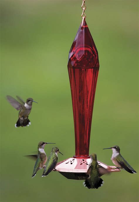 Suncraft.com: Ruby Red Hummingbird Feeder | Humming bird feeders, Red ...