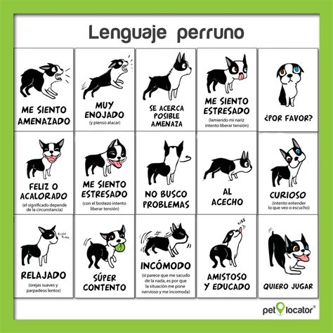 #Consejo Conoce el lenguaje corporal de tu #PERRO. | Lenguaje corporal ...