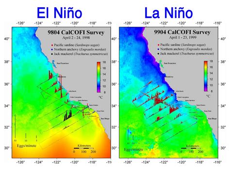 Reflections: El Niño/ La Niña Oscillation