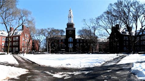 Universities In Brooklyn University - University Choices