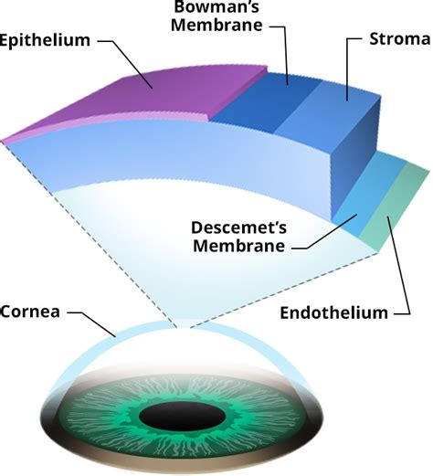 Cornea Center | Arizona Eye Specialists | Eye Care Phoenix - Arizona ...