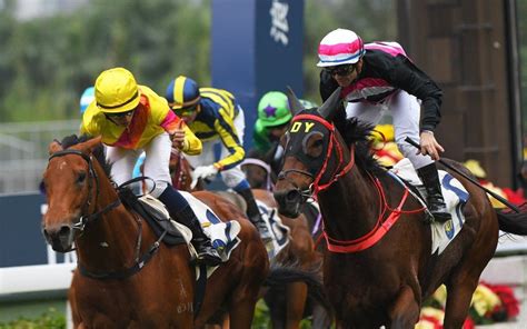 Hong Kong Horse Racing Tips: Ho set to close in on Cruz award with a ...