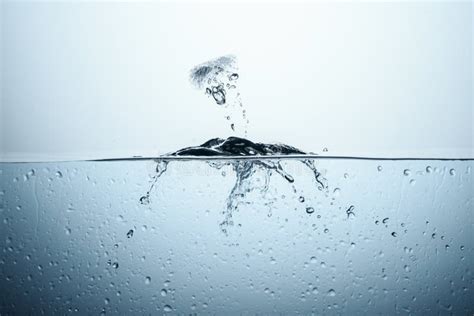 Ice Cube in Pure Water with Splash Stock Photo - Image of water ...