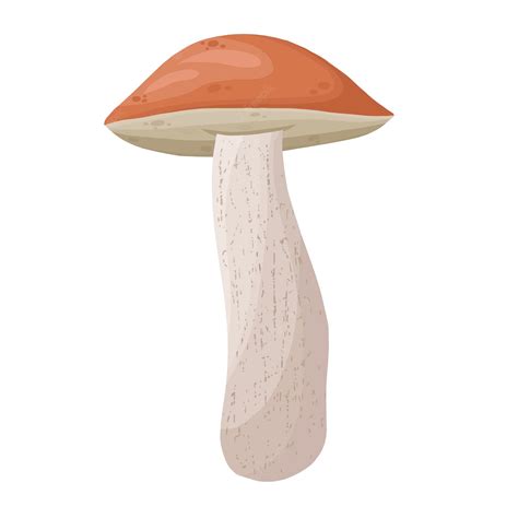 Premium Vector | Mushroom, detailed colorful vector art mushroom.