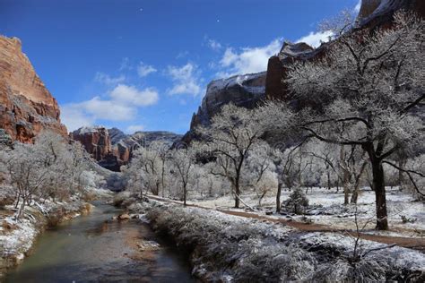 Snow in Zion National Park ! Utah Stock Image - Image of desert ...