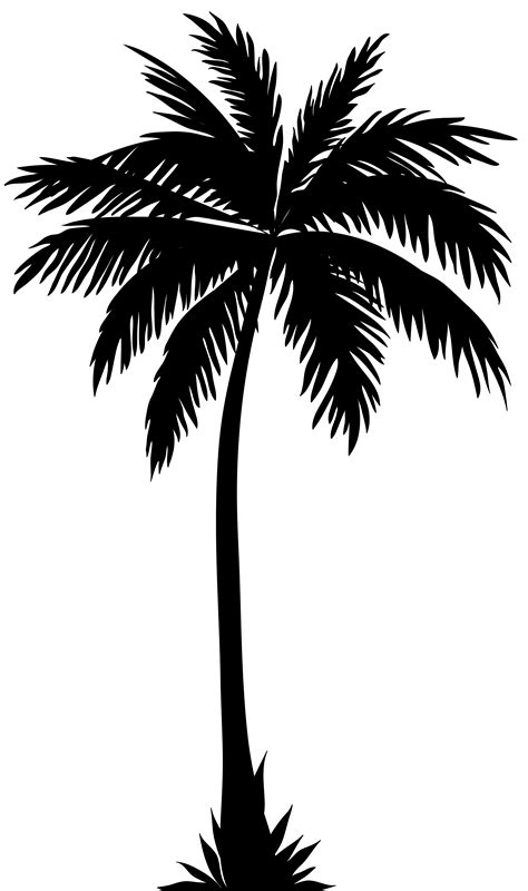 palm tree silhouette clipart - Clipground