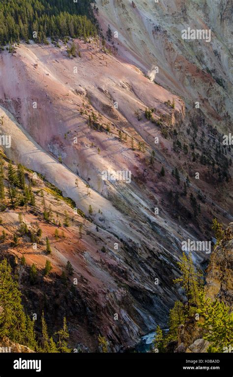 Geyser in the Grand Canyon Of Yellowstone, Yellowstone National Park ...