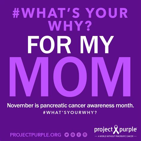 Pancreatic Cancer Awareness Month 2017 Project Purple