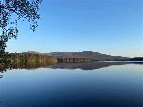 RSPB Volunteering: Life on a Nature Reserve - susthingsout