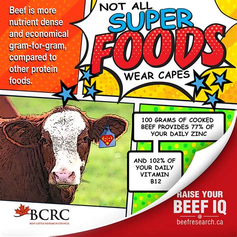 Nutritional Qualities of Beef - BeefResearch.ca