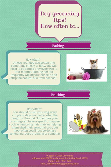 Dog Grooming Tips! Infographic Dog Grooming Salons, Dog Grooming Tips ...