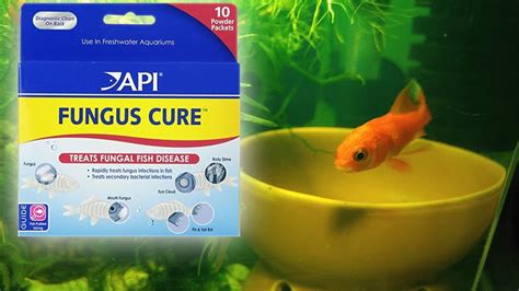 API Fungus Freshwater Fish Powder Medication, 10-Count, 46% OFF