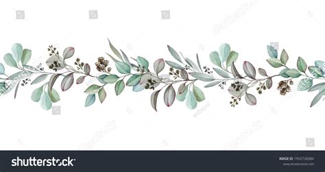 Eucalyptus Seamless Border Watercolor Illustration Natural Stock ...