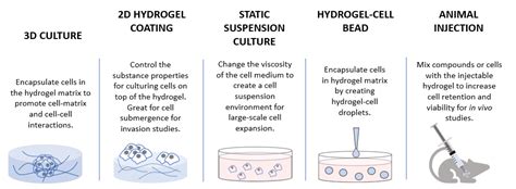 3D Cell Culture Methods and Applications | TheWell Bioscience