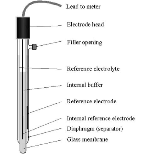 pH Meter: Parts, Principle, and Applications • Microbe Online