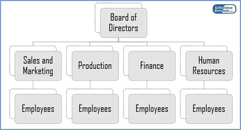 Difference Between Matrix and Functional Structure | Matrix vs ...