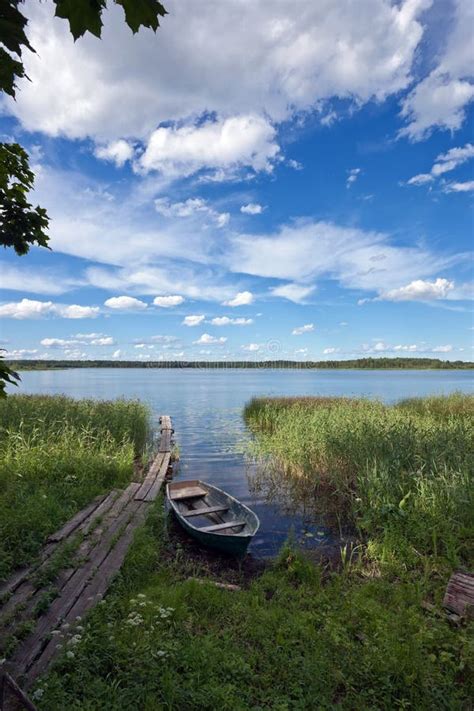 Summer's lake scenery stock photo. Image of beautiful - 24802460