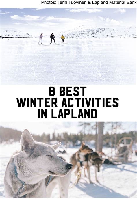 8 best winter activities in Lapland | Winter activities, Lapland, Winter