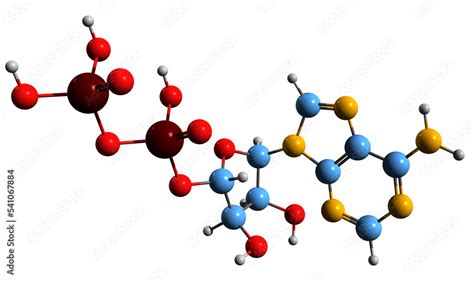 3D image of Adenosine diphosphate skeletal formula - molecular chemical ...