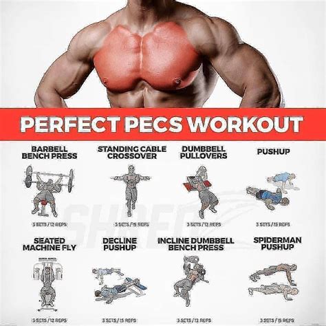 Pin by Dan123452 on Fitness Practice(Stuff I actually do...) | Chest ...