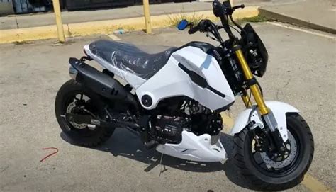 5 Best Honda Grom Clone [Worthy Buying?] – Your Motor Geek