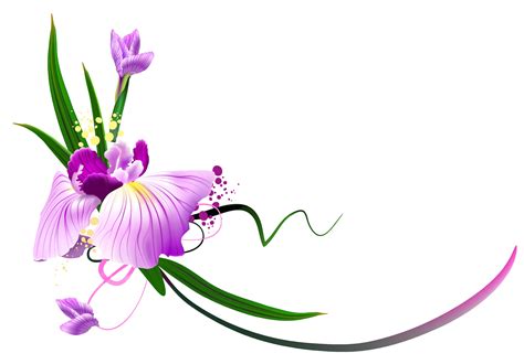 Orchid Flower Clipart at GetDrawings | Free download