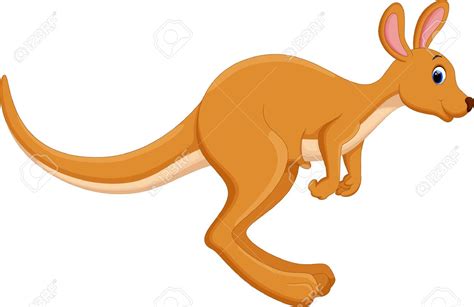 Kangaroo Jumping Cartoon : Download High Quality Kangaroo Clipart ...