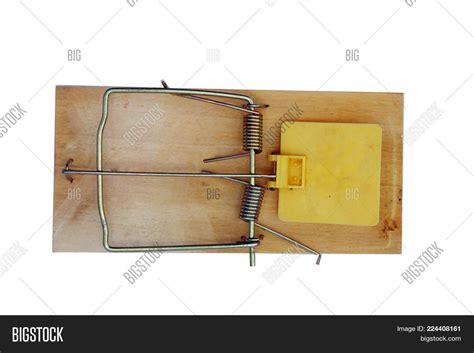 Most Popular Rat Trap Image & Photo (Free Trial) | Bigstock