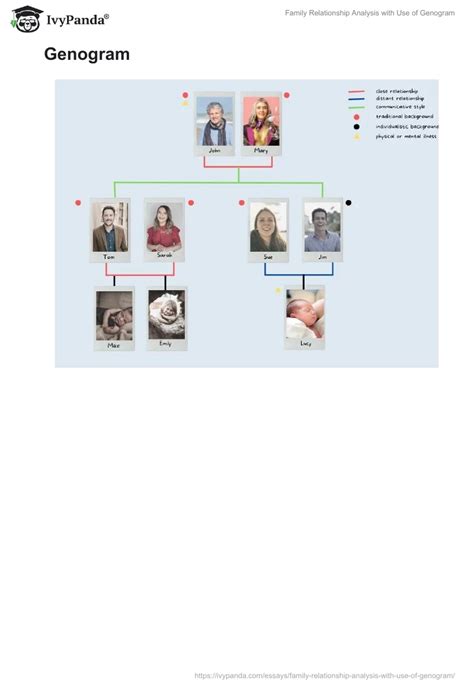 Family Relationship Analysis with Use of Genogram - 646 Words | Essay ...