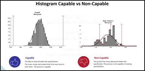 Histogram Examples: A Picture of Your Data