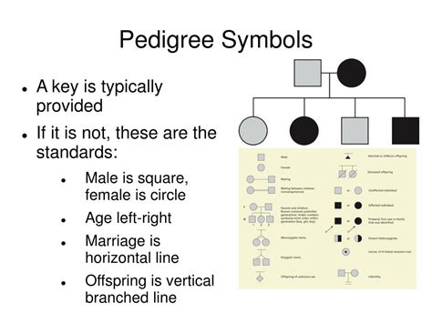 Symbols For Pedigree