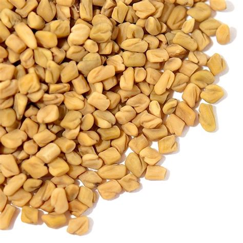 Buy Whole Fenugreek Seeds Online | Methi Seeds in Bulk | Spice Jungle