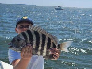 The Best Sheepshead Bait: An Angler’s Guide for 2024