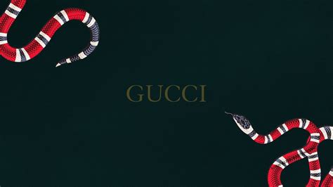 Gucci Desktop Wallpapers on WallpaperDog