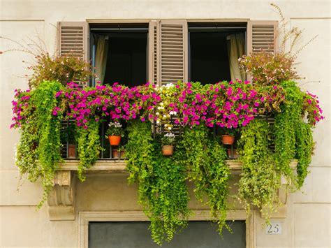 8 Urban Gardening Tips