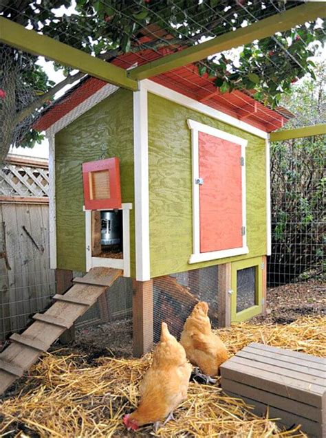 65 Free Chicken Coop Plans You Can Build at Home