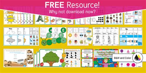 FREE Early Childhood Activity Pack (teacher made) - Twinkl